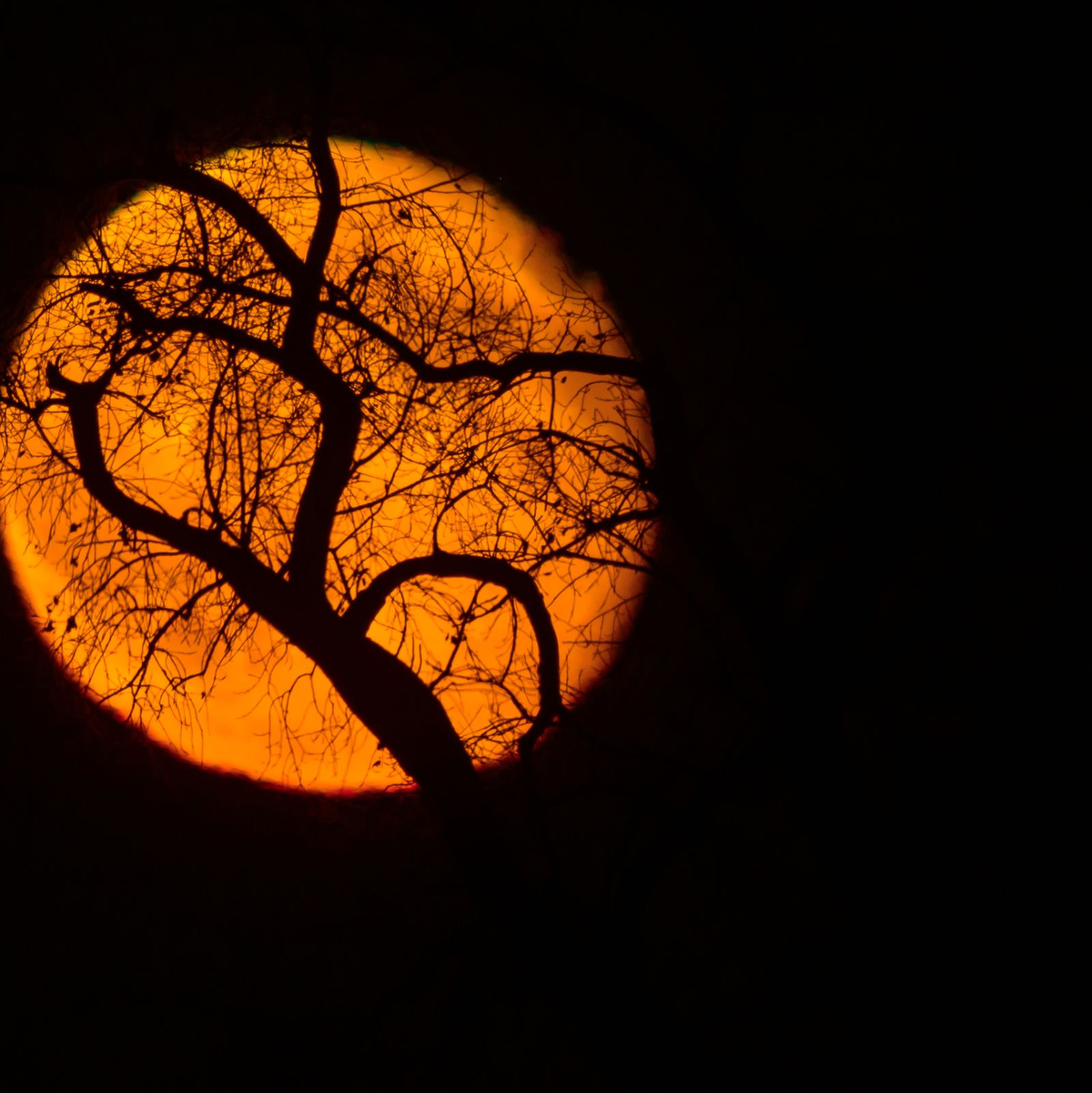 Nach dem kommenden Supermond findet der nächste in einem Jahr statt. (Archivbild) - Foto: Patrick Pleul/dpa