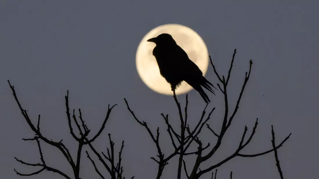 Faktoren wie Licht, die Tagesstruktur, psychische Verfassung sowie die Umgebung haben einen großen Einfluss auf unseren Schlaf, sagt Chronobiologe Spitschan. (Archivbild) - Bild: Julian Stratenschulte/dpa