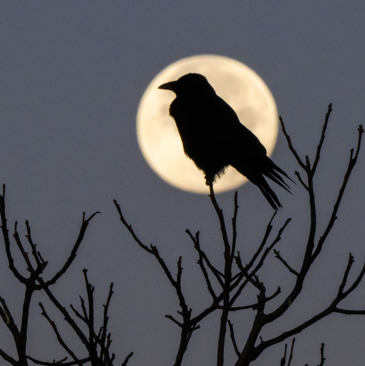 Faktoren wie Licht, die Tagesstruktur, psychische Verfassung sowie die Umgebung haben einen großen Einfluss auf unseren Schlaf, sagt Chronobiologe Spitschan. (Archivbild) - Foto: Julian Stratenschulte/dpa