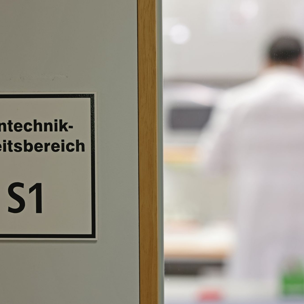 Befürworter erhoffen sich Obst- und Gemüsesorten, die ertragreicher, resistenter gegen den Klimawandel und nährstoffreicher sind. - Foto: Matthias Bein/dpa