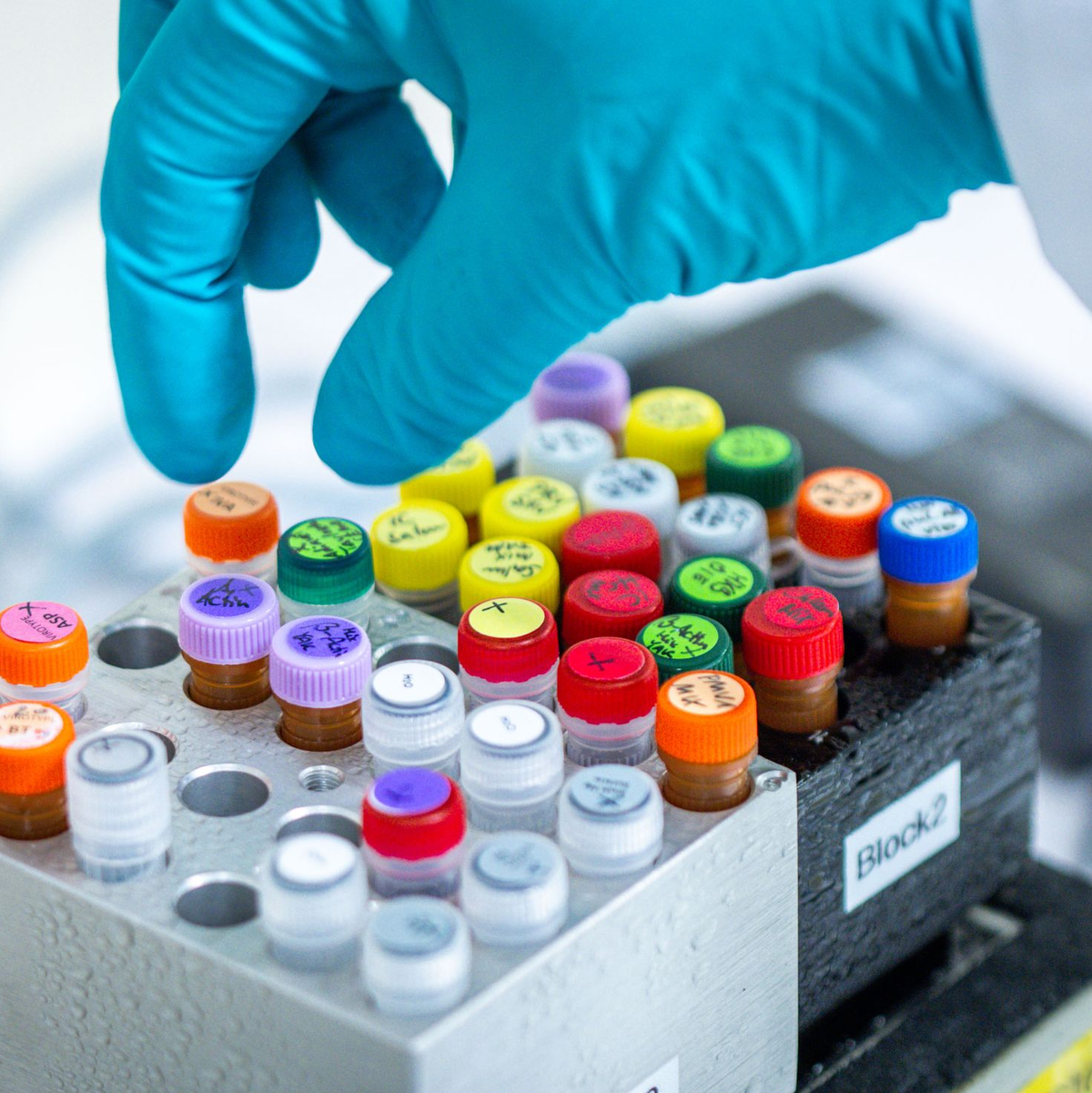 Künftig sollen auch Patente für gentechnisch veränderte Pflanzen möglich sein. - Foto: Jens Büttner/dpa