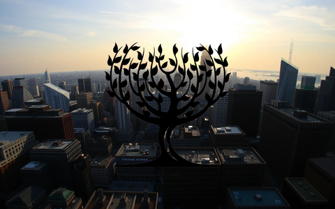 Fevertree Aktie: Buyback-Offensive gestartet - Foto: über boerse-global.de