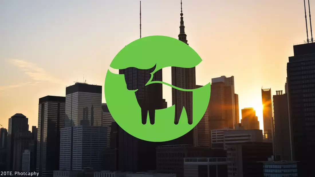 Beyond Meat Aktie: Vorsicht, Spannungsmomente! - Bild: über boerse-global.de