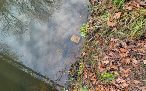 FW Flotwedel: Unklare Gewässerverunreinigung sorgt für Einsatz in Bröckel - Foto: presseportal.de