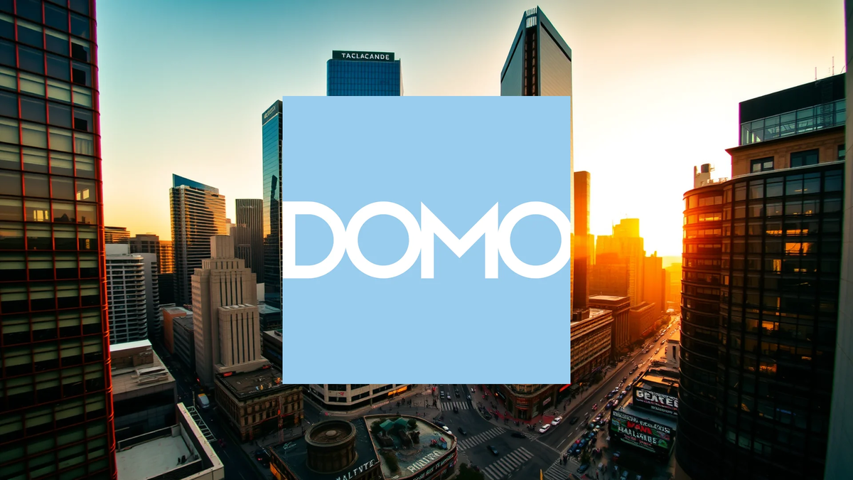 Domo Shares Plunge on Weak Guidance and Leadership Transition - Foto: über boerse-global.de