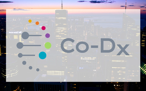 Co-Diagnostics Aktie: Entscheidung gefallen - Foto: über boerse-global.de