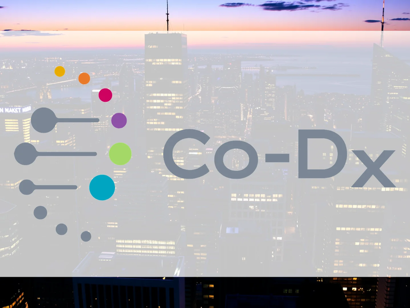 Co-Diagnostics Aktie: Entscheidung gefallen - Foto: über boerse-global.de