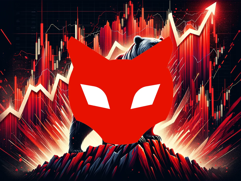 Red Cat Aktie: Wettbewerbsvorteile nutzen - Foto: über boerse-global.de