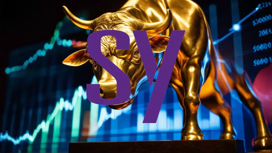 Synopsys Aktie: Spannende Gewinnperspektiven! - Bild: über boerse-global.de