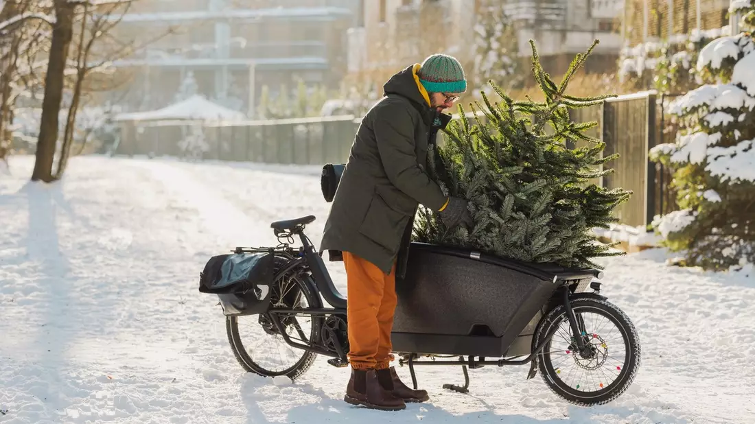 Kurze Wege, große Wirkung / Wie echte Weihnachtsbäume Umweltschutz und Tradition verbinden - Bild: presseportal.de