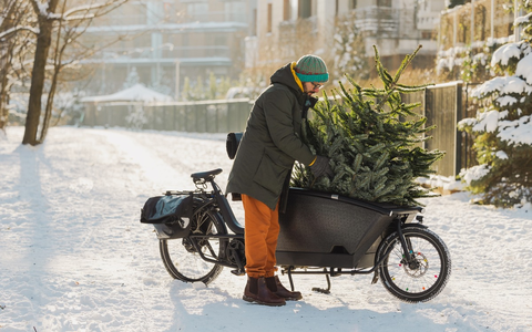 Kurze Wege, große Wirkung / Wie echte Weihnachtsbäume Umweltschutz und Tradition verbinden - Foto: presseportal.de