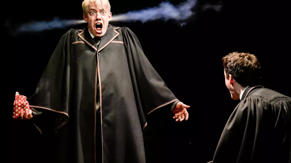Das Theaterstück ist eine Fortsetzung der sieben Harry-Potter-Romane von J. K. Rowlings. (Archivbild) - Bild: Axel Heimken/dpa