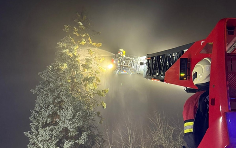 FW Allensbach: B1 Baum - Foto: presseportal.de