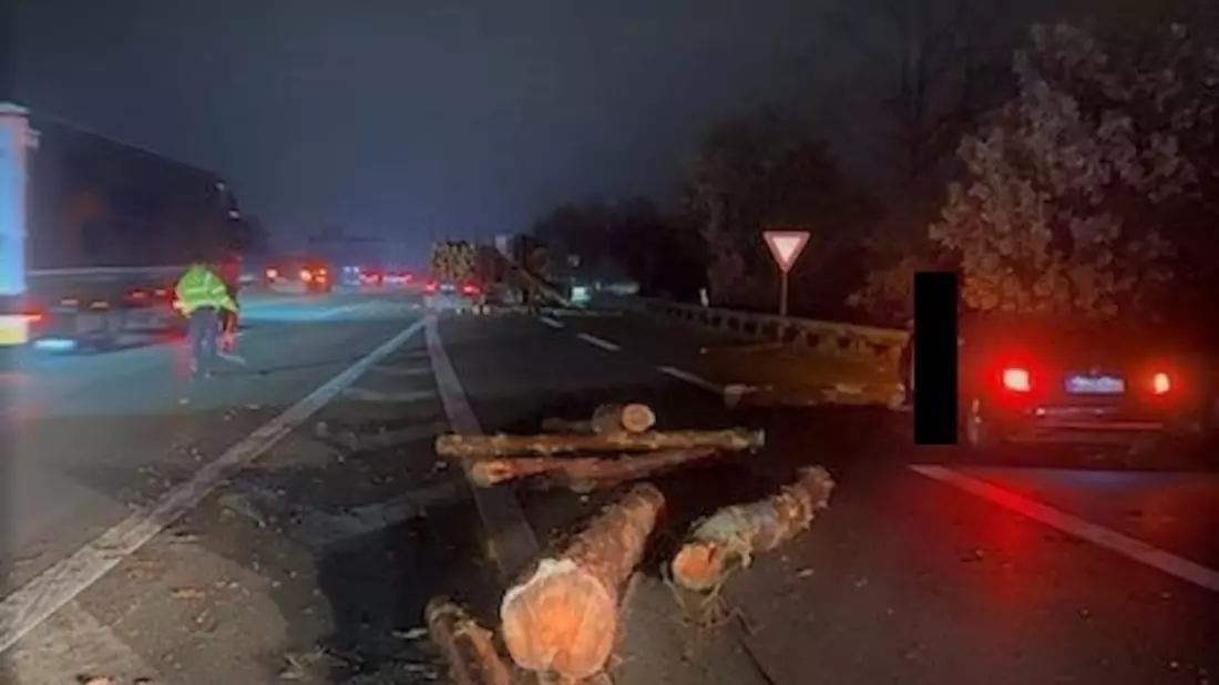 POL-WL: Baumstämme blockierten Fahrbahn - Bild: presseportal.de