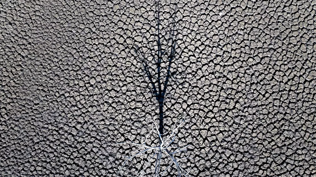 Klimazertifikate aus Drittländern könnten künftig mit EU-Emissionen verrechnet werden. (Symbolbild) - Bild: Emilio Morenatti/AP/dpa