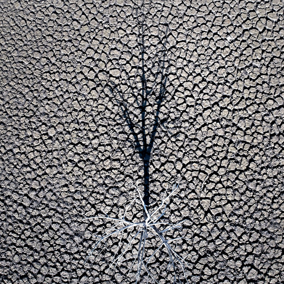 Klimazertifikate aus Drittländern könnten künftig mit EU-Emissionen verrechnet werden. (Symbolbild) - Foto: Emilio Morenatti/AP/dpa