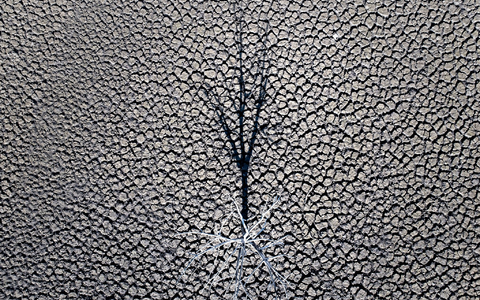 Klimazertifikate aus Drittländern könnten künftig mit EU-Emissionen verrechnet werden. (Symbolbild) - Foto: Emilio Morenatti/AP/dpa