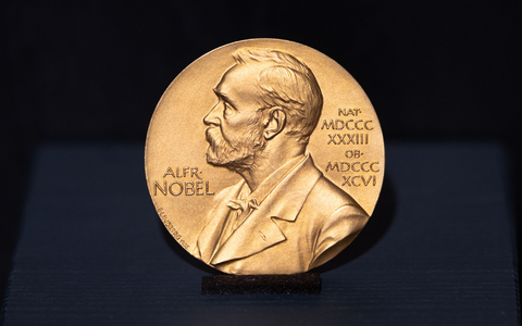 Die Nobelpreise zählen zu den prestigeträchtigsten Auszeichnungen der Welt. (Archivbild) - Foto: Daniel Reinhardt/dpa