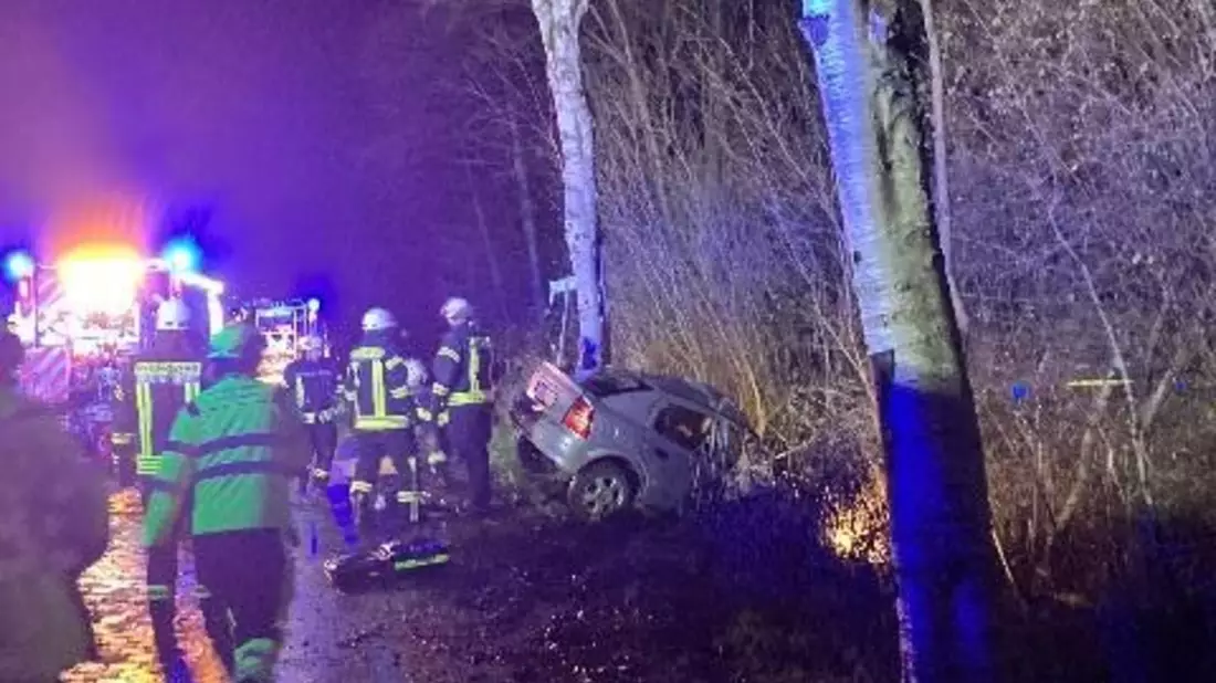 POL-CUX: Tödlicher Verkehrsunfall auf der Landesstraße 118 in Neuenkirchen (Foto im Anhang) - Bild: presseportal.de