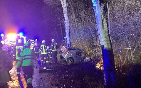 POL-CUX: Tödlicher Verkehrsunfall auf der Landesstraße 118 in Neuenkirchen (Foto im Anhang) - Foto: presseportal.de