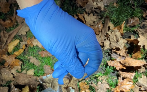 POL-OS: Osnabrück/Innenstadt - Folgekontrollen im Schlossgarten: Polizei setzt Maßnahmen gegen Drogenhandel fort - Foto: presseportal.de