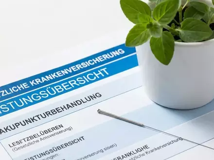 Naturheilkunde: Deutschlands Kassen unter Druck – Privatversicherer wittern Chance - Foto: über boerse-global.de