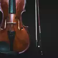 bowed-instrument-1853324.jpg - Foto: THN