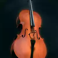 cello-2830665.jpg - Foto: THN
