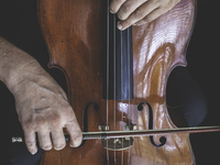 cello-4709128.jpg - Foto: THN