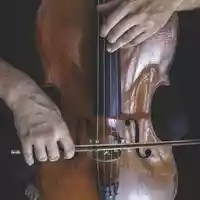 cello-4709128.jpg - Foto: THN