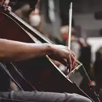 cello-7219171 (1).jpg - Foto: THN