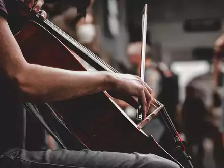 cello-7219171 (1).jpg - Foto: THN