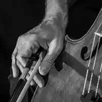 cello-7397745.jpg - Foto: THN
