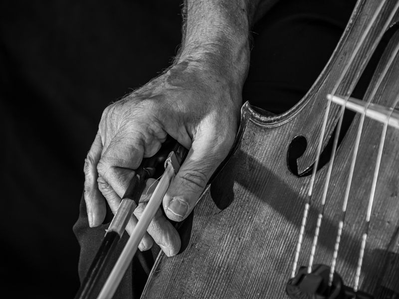 cello-7397745.jpg - Foto: THN