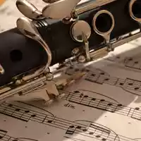 clarinet-86157.jpg - Foto: THN