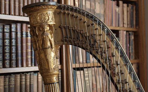 harp-2700446.jpg - Foto: THN