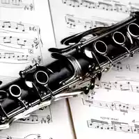 instrument-4118588 (1).jpg - Foto: THN