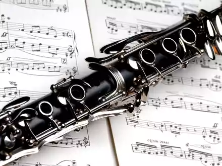 instrument-4118588 (1).jpg - Foto: THN