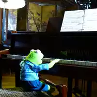 kermit-510012.jpg - Foto: THN