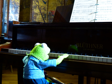 kermit-510012.jpg - Foto: THN