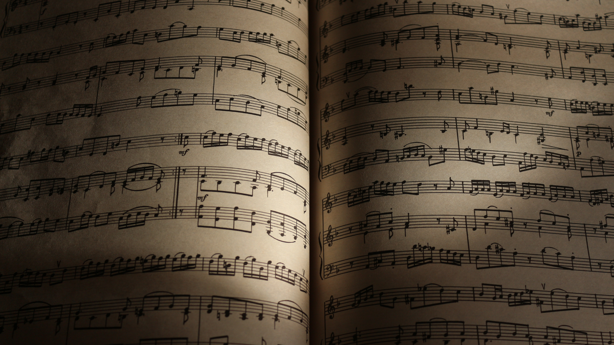 Wabbel-Welten, Ernesto, Neto, Kunst, Reinkriechen, Angucken, Räume, Insta-Content, Hype, Millionen-Hammer - Foto: THN