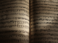 notes-2656005.jpg - Foto: THN