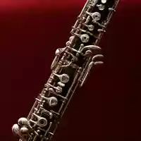 oboe-433122.jpg - Foto: THN