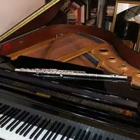 piano-2656399 (1).jpg - Foto: THN