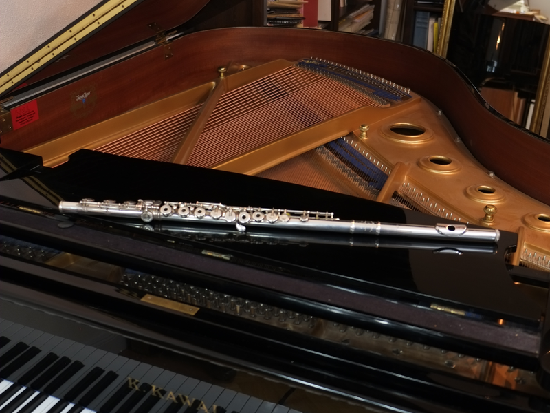 piano-2656399 (1).jpg - Foto: THN