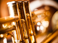 trumpet-7774590.jpg - Foto: THN