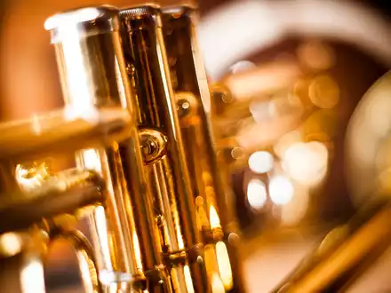 trumpet-7774590.jpg - Foto: THN