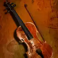 violin-1252019.jpg - Foto: THN