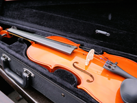 violin-2513890.jpg - Foto: THN