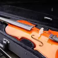 violin-2513890.jpg - Foto: THN